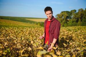 agriculteur dans soja champ plantation photo