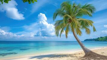 ai généré une majestueux paume arbre des stands grand sur une tropical plage, moulage une gracieux silhouette contre le Azur ciel, ai généré photo