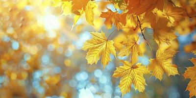 ai généré d'or majesté. embrassement le beauté de l'automne avec ses radiant d'or paysage photo