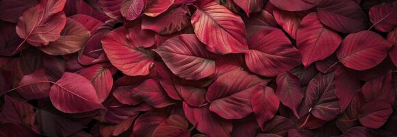 ai généré rouge l'automne feuilles texture Contexte photo