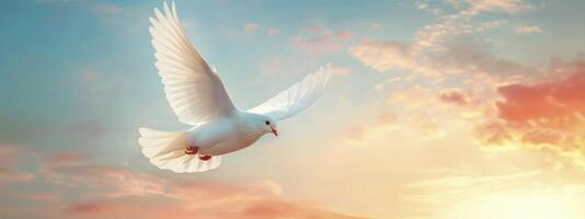 ai généré symbole de paix. une blanc Colombe planant avec liberté au milieu de le coucher du soleil large ciel Contexte. photo