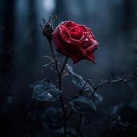 ai généré rouge des roses donner une du froid sentiment lorsque elles ou ils sont touché par horreur. photo