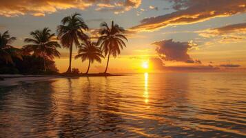 ai généré magnifique le coucher du soleil plus de le mer avec noix de coco paume des arbres dans le premier plan photo