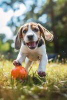 ai généré joyeux beagle chiot est ayant amusement en jouant avec une Balle dans le Prairie photo