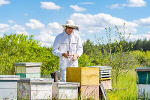 Beau apiculteur travail avec ruches. homme dans protecteur costume dans abeille cultiver. photo