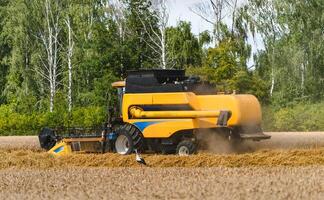 combiner travail sur le grand blé champ récolte Jaune mûr blé. agricole concept. photo