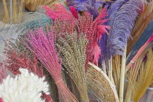 une bouquet de différent coloré plumes sont séance sur une table photo