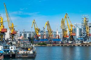 logistique entreprise. énorme grues et conteneurs, ensoleillé été journée. mer port, photo