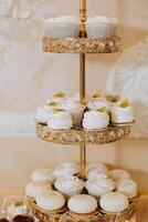 amande biscuits, sucré Gâteaux pour une mariage banquet. une délicieux réception, une luxueux cérémonie. table avec bonbons et desserts. délicieux coloré français desserts sur une assiette ou tableau. bonbons bar. photo