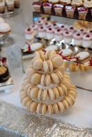 amande biscuits, sucré Gâteaux pour une mariage banquet. une délicieux réception, une luxueux cérémonie. table avec bonbons et desserts. délicieux coloré français desserts sur une assiette ou tableau. bonbons bar. photo