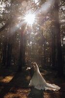 mariage couple sur une marcher dans le l'automne parc. le la mariée dans une magnifique blanc robe. l'amour et relation concept. jeune marié et la mariée dans la nature en plein air photo