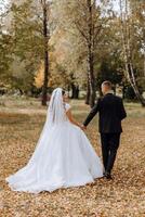 une mariage couple est en marchant dans la nature sur un l'automne journée. content Jeune la mariée et élégant jeune marié en portant mains. une élégant couple de jeunes mariés sur leur mariage journée. photo