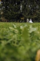 mariage couple sur une marcher dans le l'automne parc. le la mariée dans une magnifique blanc robe. l'amour et relation concept. jeune marié et la mariée dans la nature en plein air photo