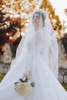 mariage portrait. une brunette la mariée dans une dentelle robe et une élégant couronne pose dans nature, en portant une bouquet, couvert avec une longue voile. agréable se maquiller. l'automne photo tirer