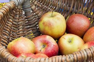 osier panier avec pommes photo