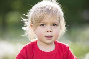 magnifique deux année vieux blond bébé. le visage de le enfant proche en haut. photo