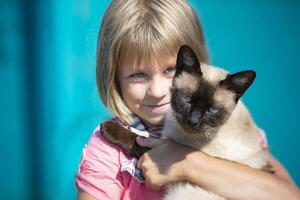 une peu fille détient une chaton dans sa bras et regards à le caméra. photo