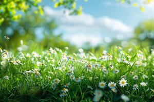 ai généré luxuriant floral scènes mettant en valeur une variété de fleurs dans doux, radiant lumière avec une bokeh Contexte photo