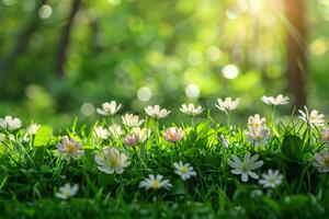 ai généré luxuriant floral scènes mettant en valeur une variété de fleurs dans doux, radiant lumière avec une bokeh Contexte photo