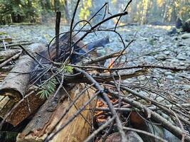 départ une Feu dans une camping Feu fosse dans le pin les forêts de Washington Etat photo