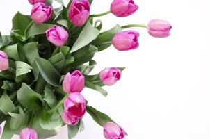 floral Contexte avec tulipes fleurs sur blanc Contexte. charmant salutation carte avec tulipes pour les mères jour, mariage ou content un événement photo