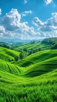 ai généré verticale illustration de magnifique vert collines et prés avec une bleu nuageux ciel photo