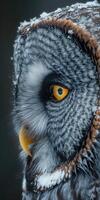 ai généré verticale portrait de génial gris hibou, strix nébuleuse photo