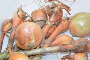 légumes cultivés indépendamment dans le pays photo