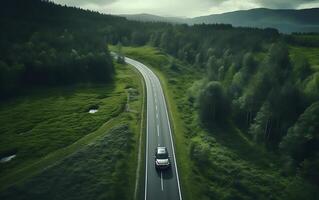 ai généré aérien vue de une route dans le forêt. 3d le rendu photo