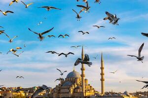 Istanbul voir. mouettes et yéni cami ou Nouveau mosquée dans Istanbul à le coucher du soleil. photo