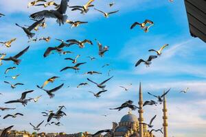 Istanbul et mouettes. mouettes sur le ciel près le galata pont photo