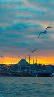 Suleymaniye mosquée et mouettes sur le ciel à le coucher du soleil photo