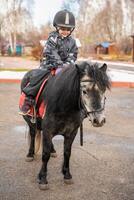 peu mignonne fille équitation une peu cheval ou poney dans le hiver dans champ dans le hiver photo