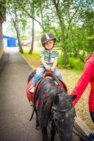 magnifique peu fille deux ans vieux équitation poney cheval dans gros sécurité jockey casque posant en plein air sur campagne photo