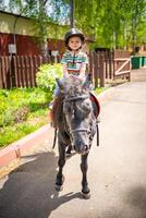 magnifique peu fille deux ans vieux équitation poney cheval dans gros sécurité jockey casque posant en plein air sur campagne photo