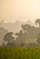 magnifique Matin vue de Indonésie de montagnes et tropical forêt photo