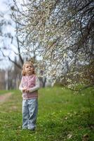 peu fille profiter agréable et ensoleillé printemps journée près épanouissement Pomme arbre dans Prague parc photo