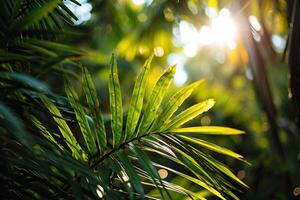 ai généré magnifique été vue de vert tropical feuilles dans lumière du soleil. généré par artificiel intelligence photo