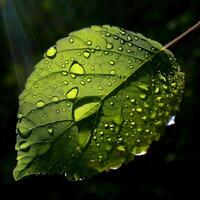 ai généré une fermer de une vert feuille avec l'eau gouttelettes en dessous de lumière du soleil, mise en évidence le complexe motifs et Frais apparence de le feuillage photo