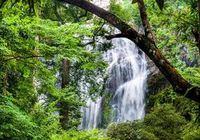 une magnifique cascade capturé dans longue exposition, Thaïlande. photo