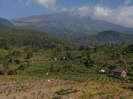 paysage vue de montagnes et riz des champs photo