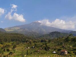 paysage vue de montagnes et riz des champs photo