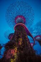 lumières dans jardins par le baie dans Singapour. photo