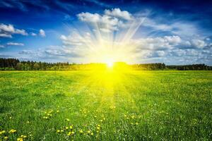 été vert champ Prairie avec Soleil photo