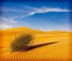 Dunes du désert de Thar, Rajasthan, Inde photo