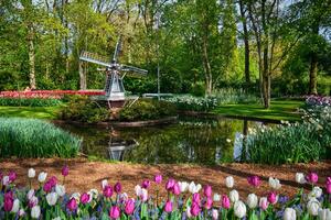 Keukenhof fleur jardin. lisse, le Pays-Bas. photo