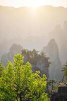 zhangjiajie montagnes, Chine photo