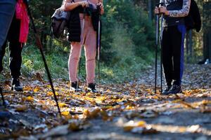 carpates, ukraine - 8 octobre 2022 mont hoverla. carpates en ukraine en automne photo