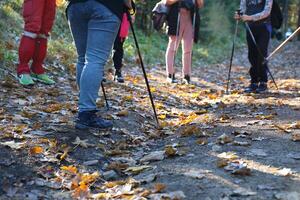 carpates, ukraine - 8 octobre 2022 mont hoverla. carpates en ukraine en automne photo