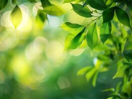 ai généré vert la nature Contexte photo